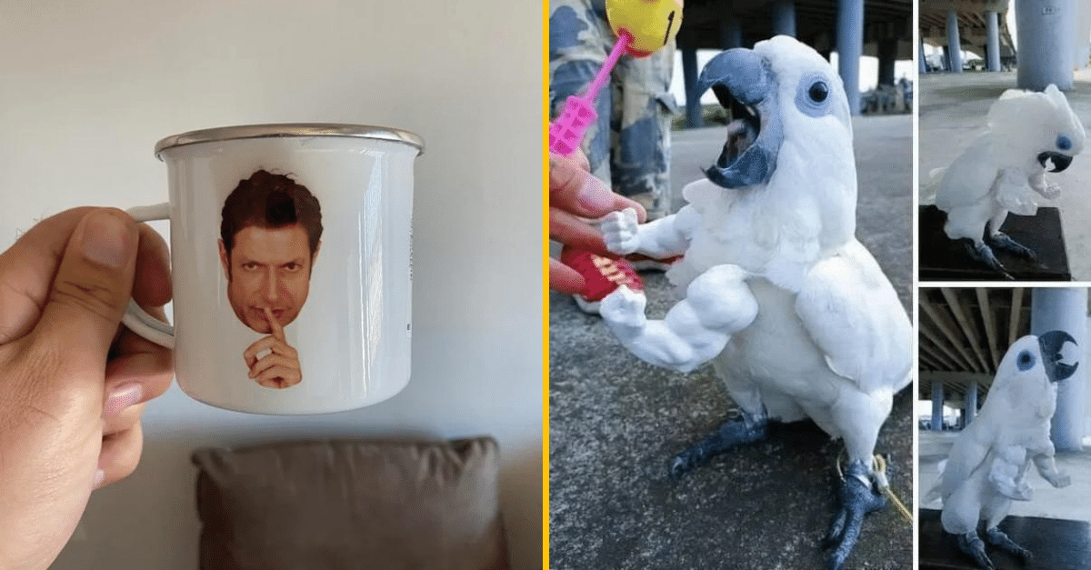 30+ Obrázkov, ktorými dokonale zabiješ čas #419 – Výhľad zo stíhačky alebo niečo pre milovníkov psov