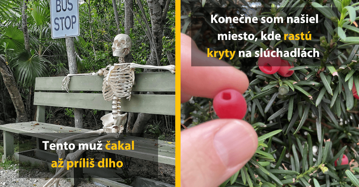 14 fotiek, ktoré boli vyfotené, aby ľuďom zlepšili deň