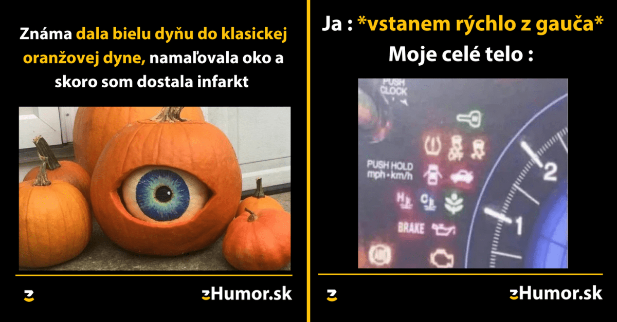 Zopár memečiek, ktoré vznikli, aby ti spríjemnili deň #1231 : Prudké pohyby nerobia dobre môjmu telu.