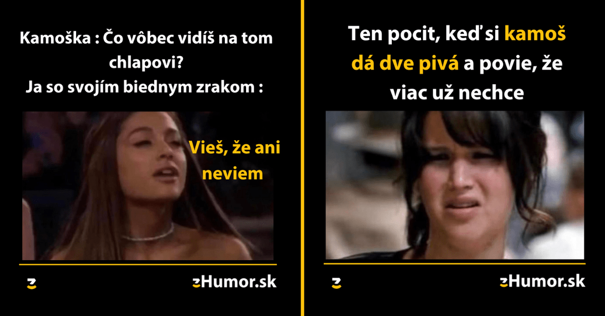 Zopár memečiek, ktoré vznikli, aby ti spríjemnili deň #1236 : Pre dve pivá sa ani neoplatí ísť z domu.