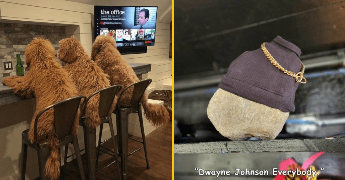 30+ Obrázkov, ktorými dokonale zabiješ čas #431 – Netradičná torta ale aj netradičný automat s jedlom