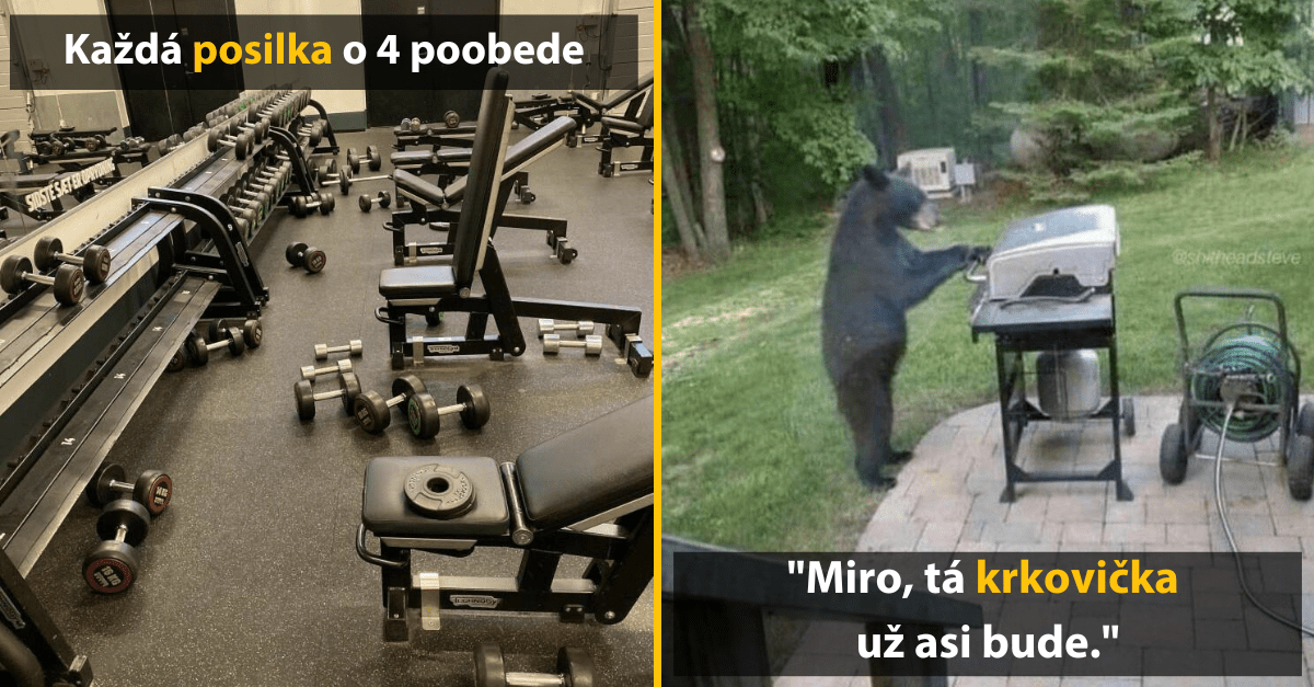 30+ Obrázkov, ktorými dokonale zabiješ čas #426 – Nový účes ale aj kreatívne vozidlá