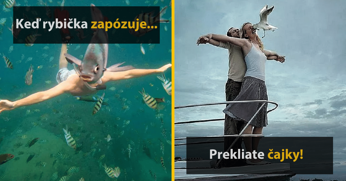 20 vtipných fotografií, ktoré sa ľuďom podarilo zachytiť v ten pravý moment