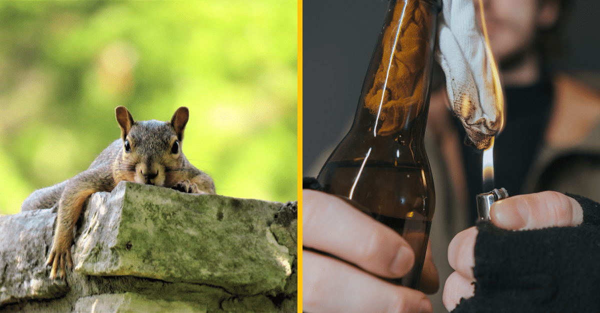 17 šokujúcich vecí, ktoré museli učitelia skonfiškovať žiakom