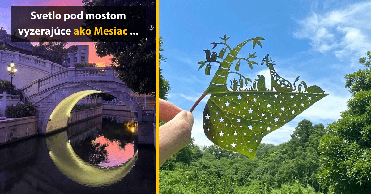 15 neuveriteľne uspokojujúcich obrázkov, ktoré ti zlepšia deň