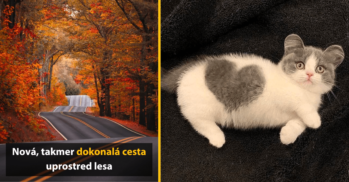 15 až podivne uspokojivých obrázkov, ktoré ti zlepšia deň