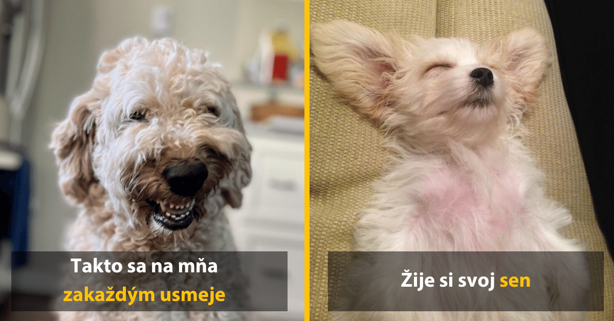 10+ fotografií, ktoré sú priam stelesnením rozkošnosti