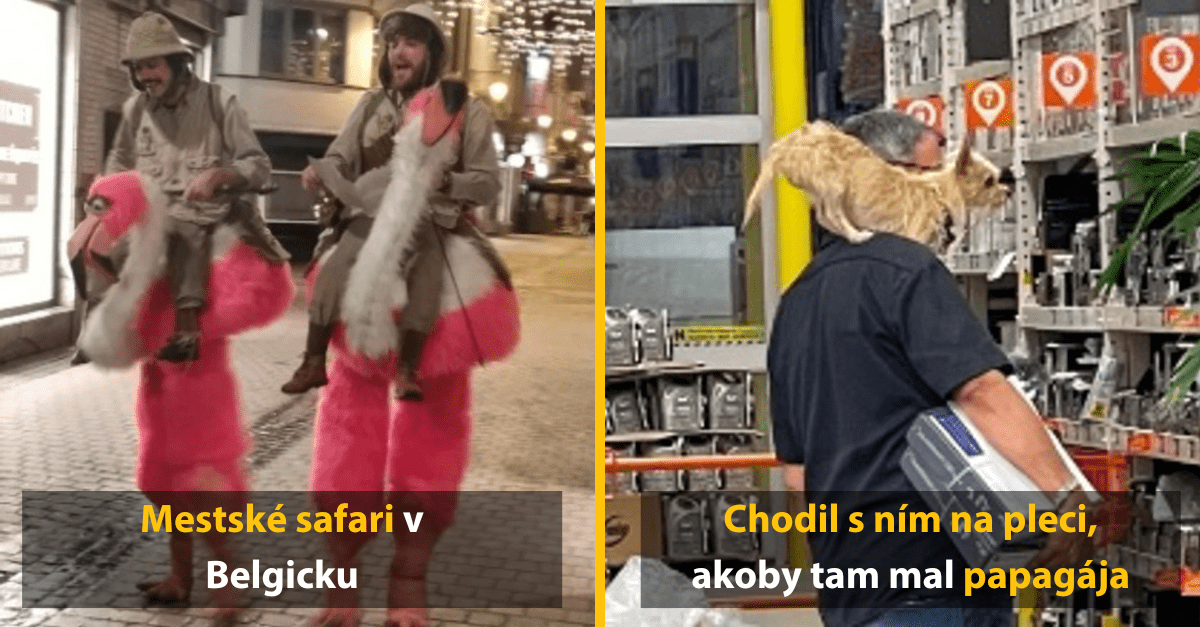 Život dokáže prekvapiť každý deň a tu je niekoľko dôkazov