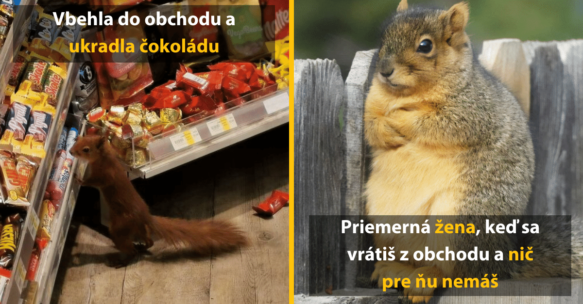 10+ vtipných fotografií veveričiek, ktoré dnes potrebuješ vidieť