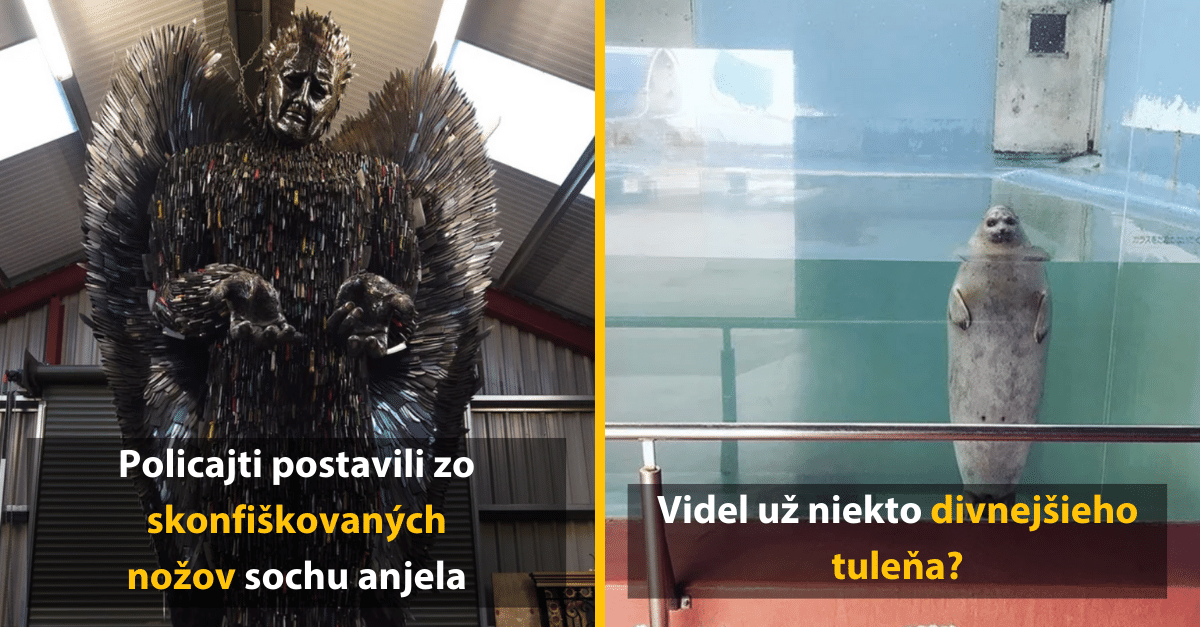 Videl si už niekedy nočnú moru na fotografii? Dnes ich uvidíš rovno 10