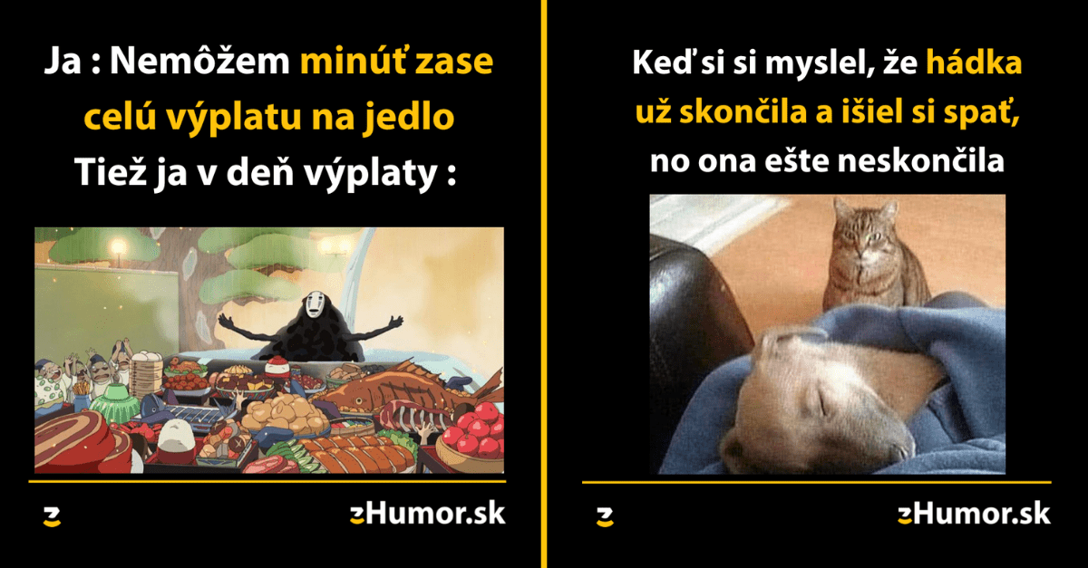 Zopár memečiek, ktoré vznikli, aby ti spríjemnili deň #1238 : Celá výplata ide na jedlo.