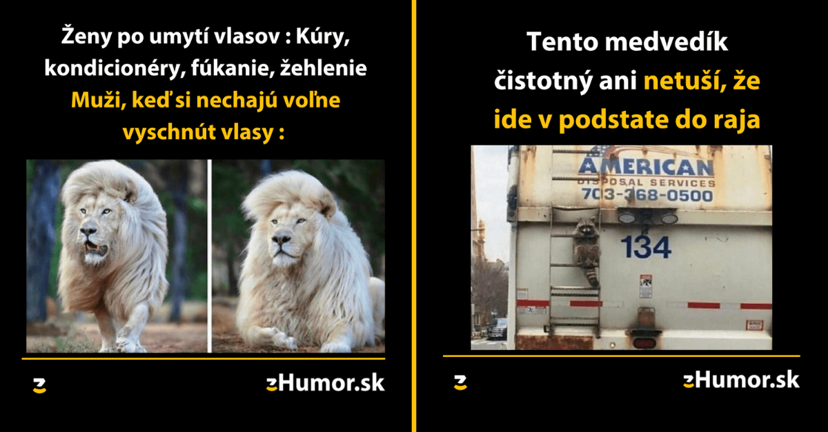 Zopár memečiek, ktoré vznikli, aby ti spríjemnili deň #1244 : Je ťažké rozhodnúť, že kto to má ťažšie.