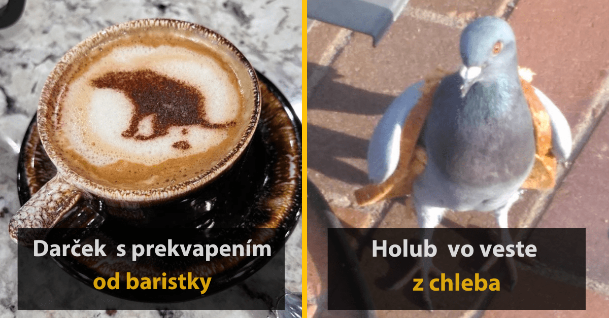 22 fotografií vecí, ktoré v bežnom živote len tak neuvidíte