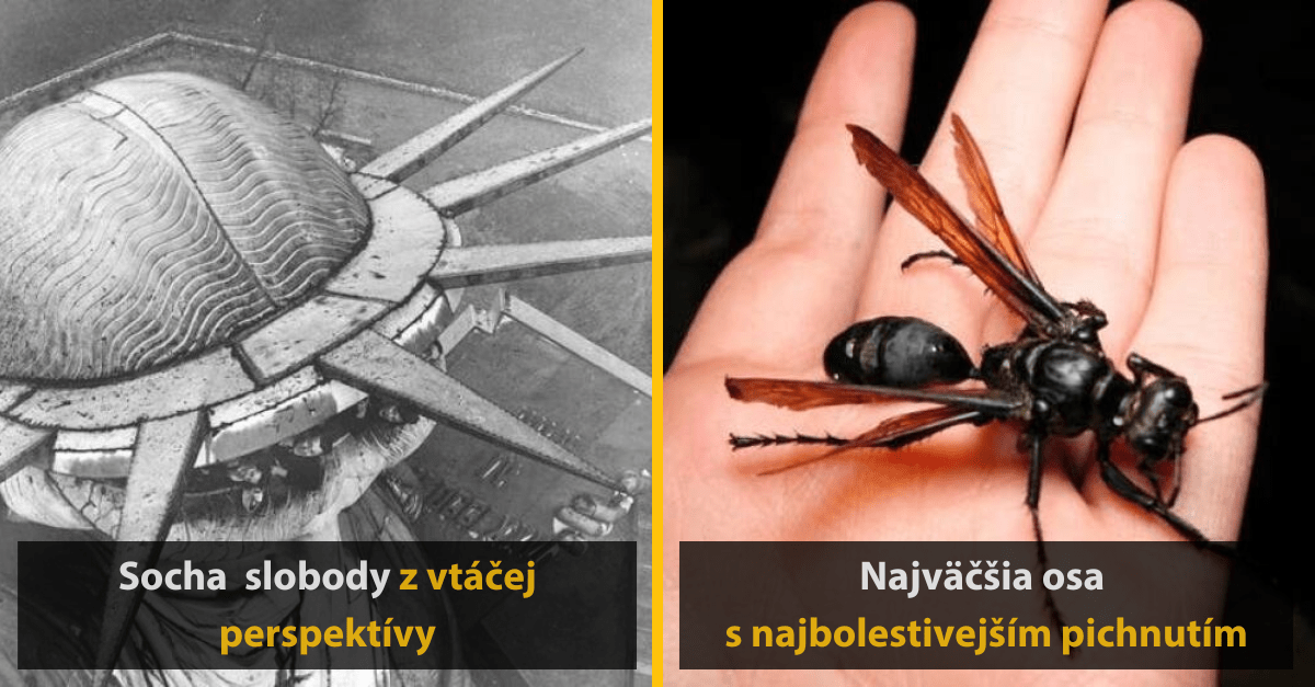 24 úžasných vecí, ktoré len tak neuvidíte