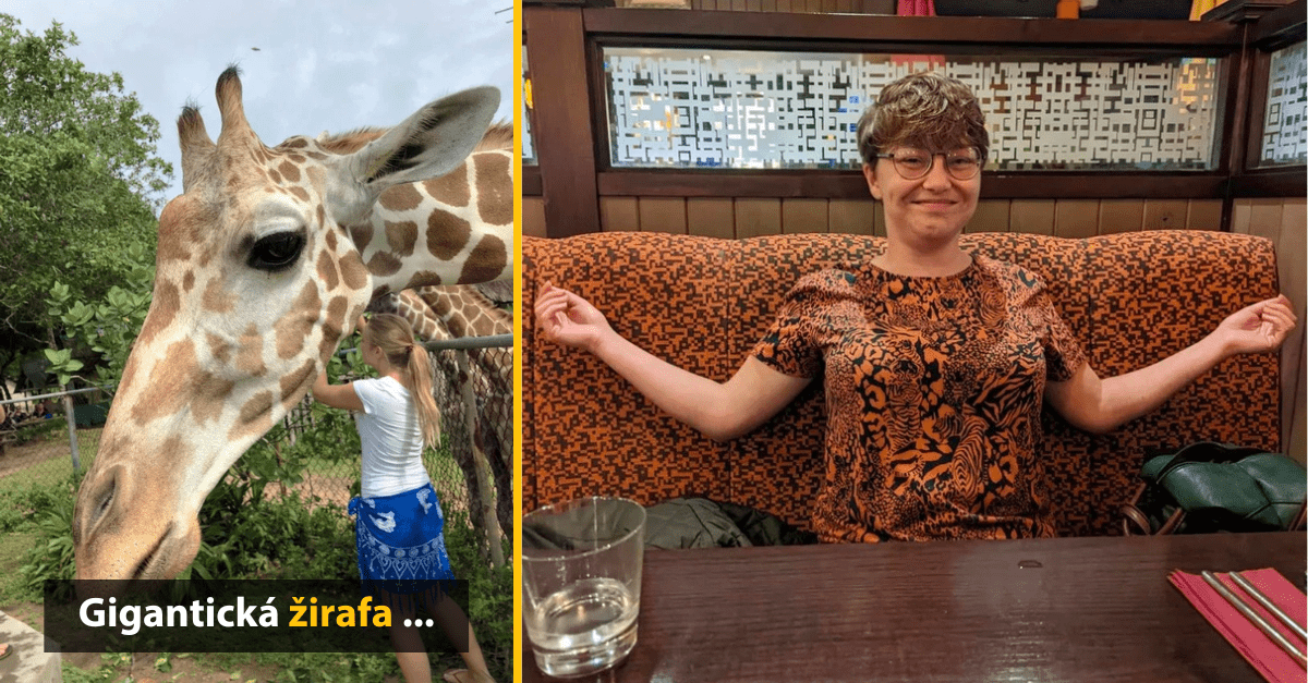 15 zábavných obrázkov, pri ktorých sa zjavne ohýbala realita