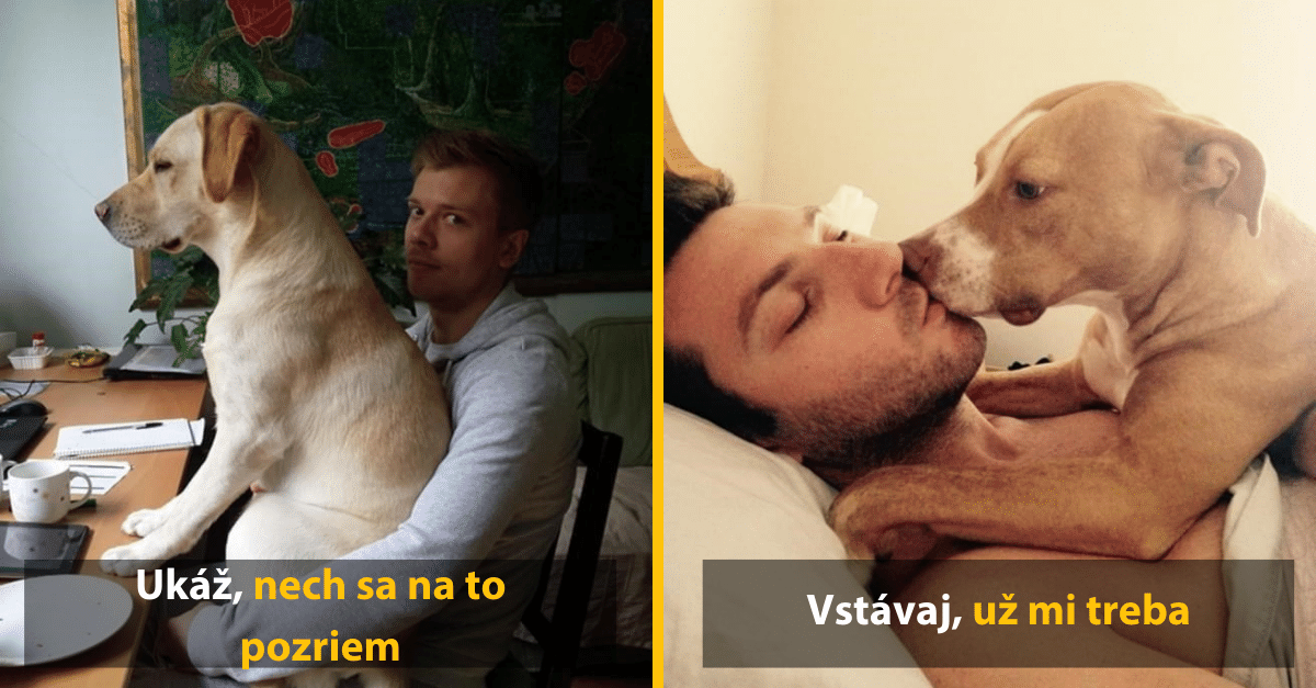 10 psov, ktorým osobný priestor nič nehovorí