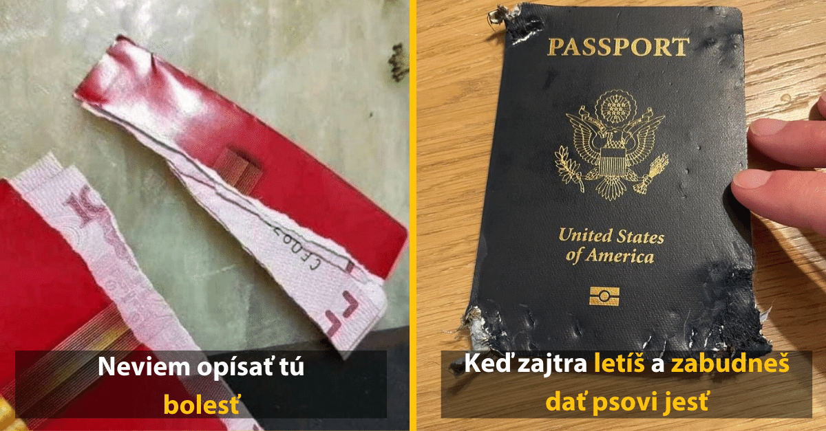 Situácie, ktoré by si neprial ani tomu najväčšiemu nepriateľovi (10+ vtipných obrázkov)