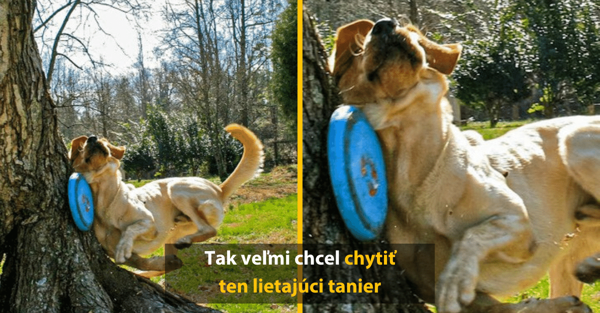 10 vtipných obrázkov na zlepšenie nálady