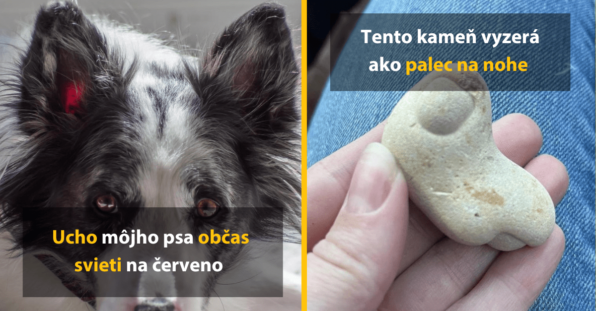 14 krát, kedy nám príroda pripravila poriadne prekvapenia