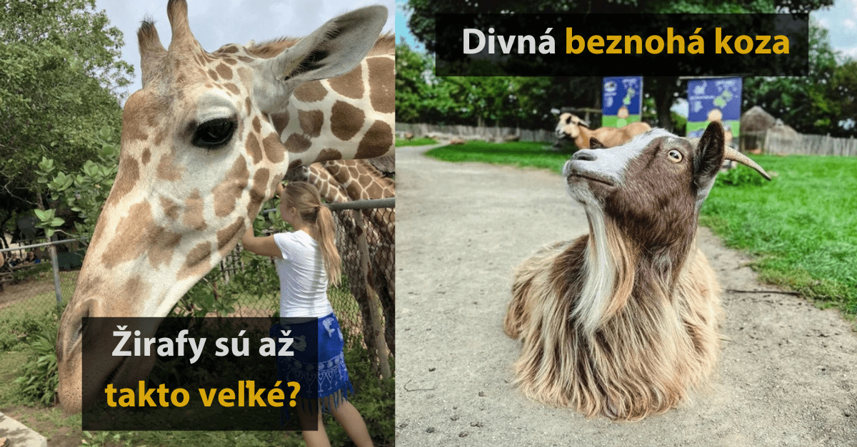 20 obrázkov, kvôli ktorým budete ešte viac spochybňovať realitu