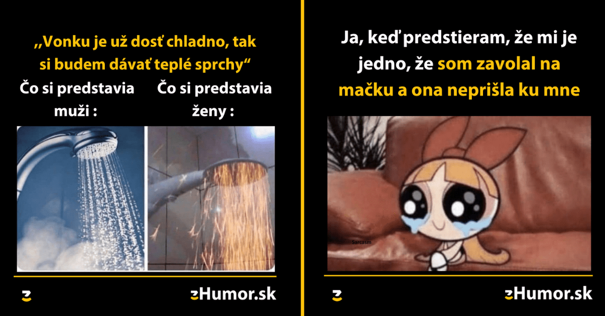 Zopár memečiek, ktoré vznikli, aby ti spríjemnili deň #1252 : “Vôbec nesmútim, keď mačka nepríde ku mne.“