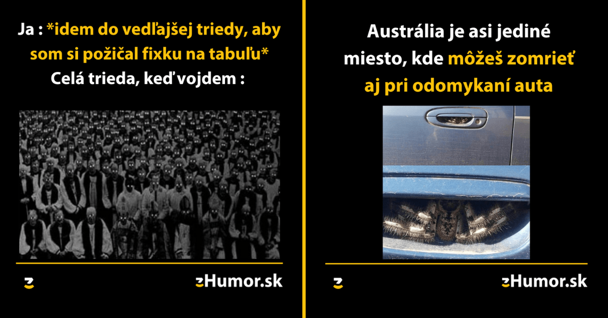 Zopár memečiek, ktoré vznikli, aby ti spríjemnili deň #1245 : Neznášam, keď som stredobodom pozornosti.