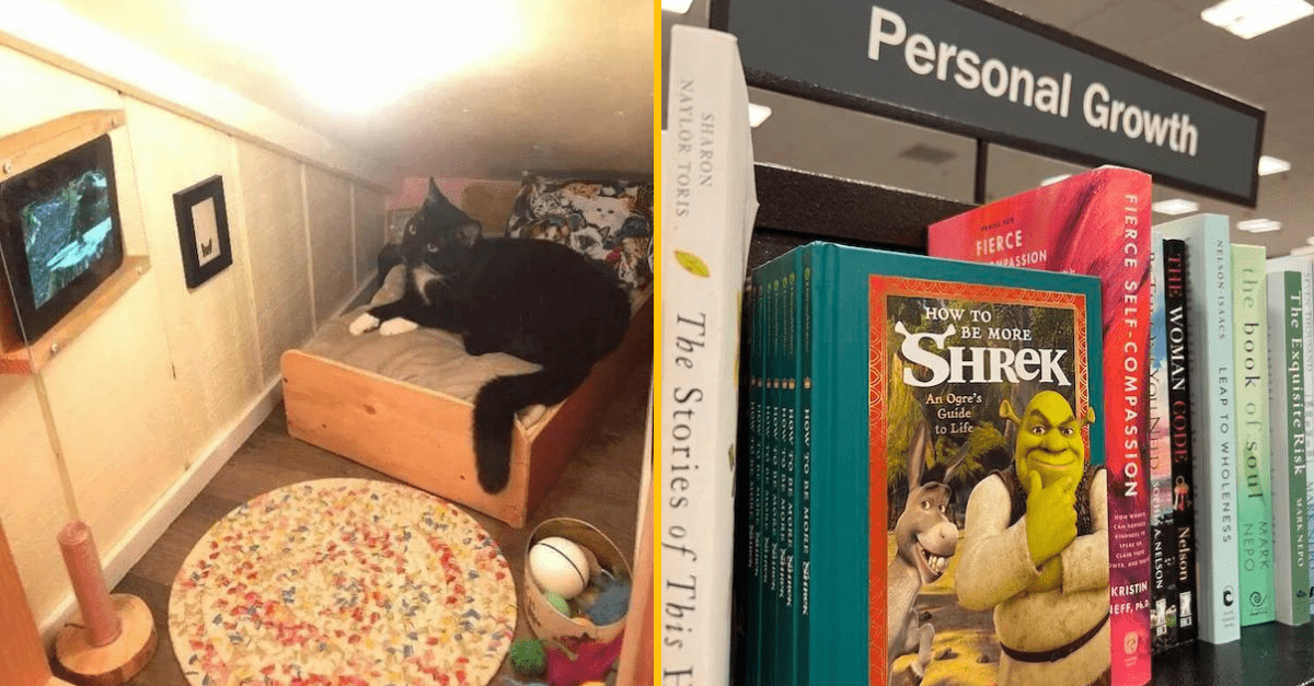 30+ Obrázkov, ktorými dokonale zabiješ čas #453