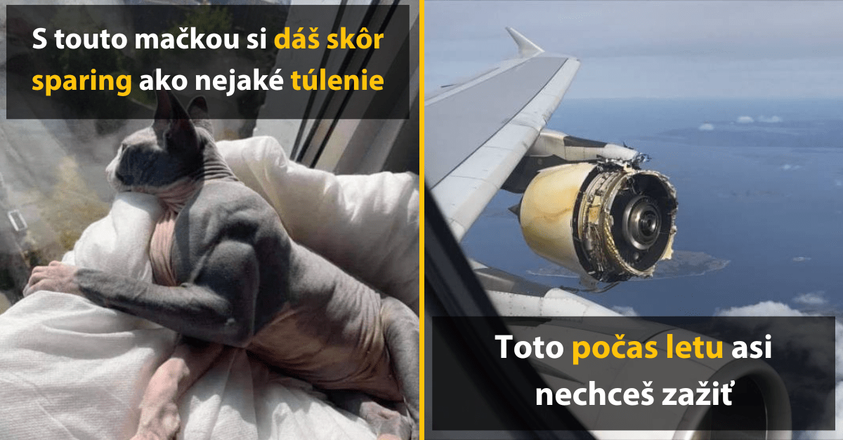 30+ Obrázkov, ktorými dokonale zabiješ čas #458