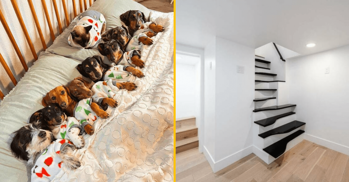 30+ Obrázkov, ktorými dokonale zabiješ čas #451