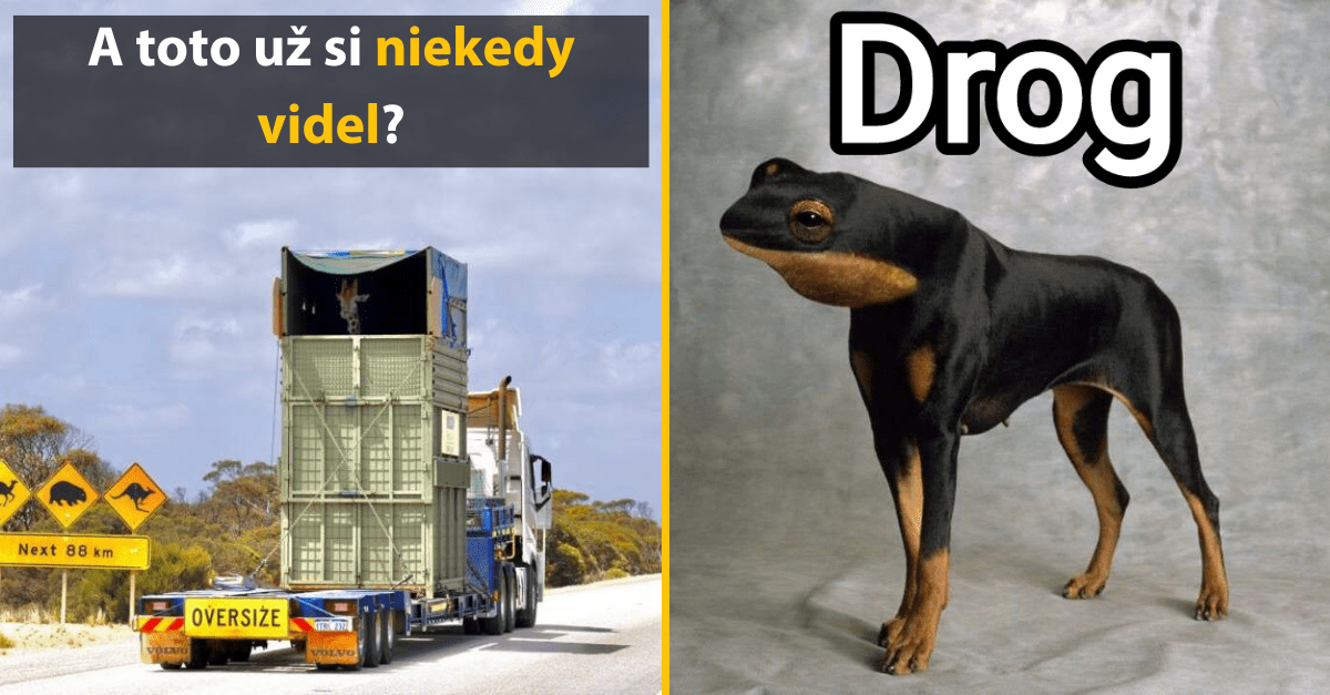 30+ Obrázkov, ktorými dokonale zabiješ čas #454