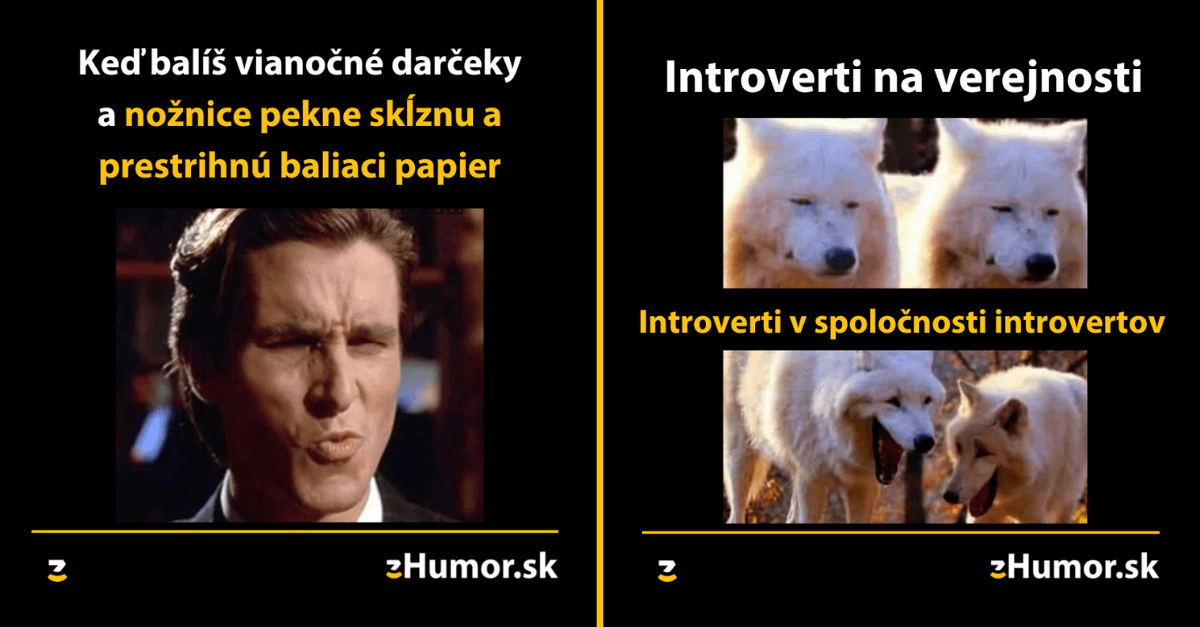 Zopár memečiek, ktoré vznikli, aby ti spríjemnili deň #1256 : Balenie vianočných darčekov je zbytočnosť.