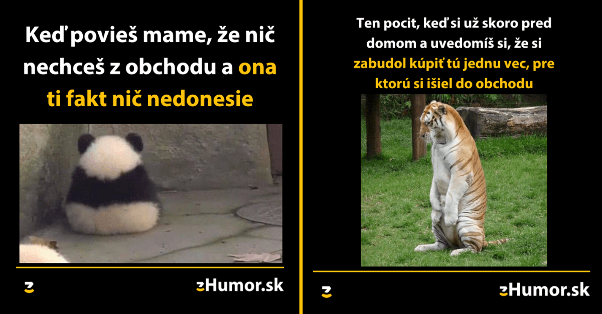 Zopár memečiek, ktoré vznikli, aby ti spríjemnili deň #1257 : Nakupovanie pred „sviatkami pokoja“ je utrpenie.