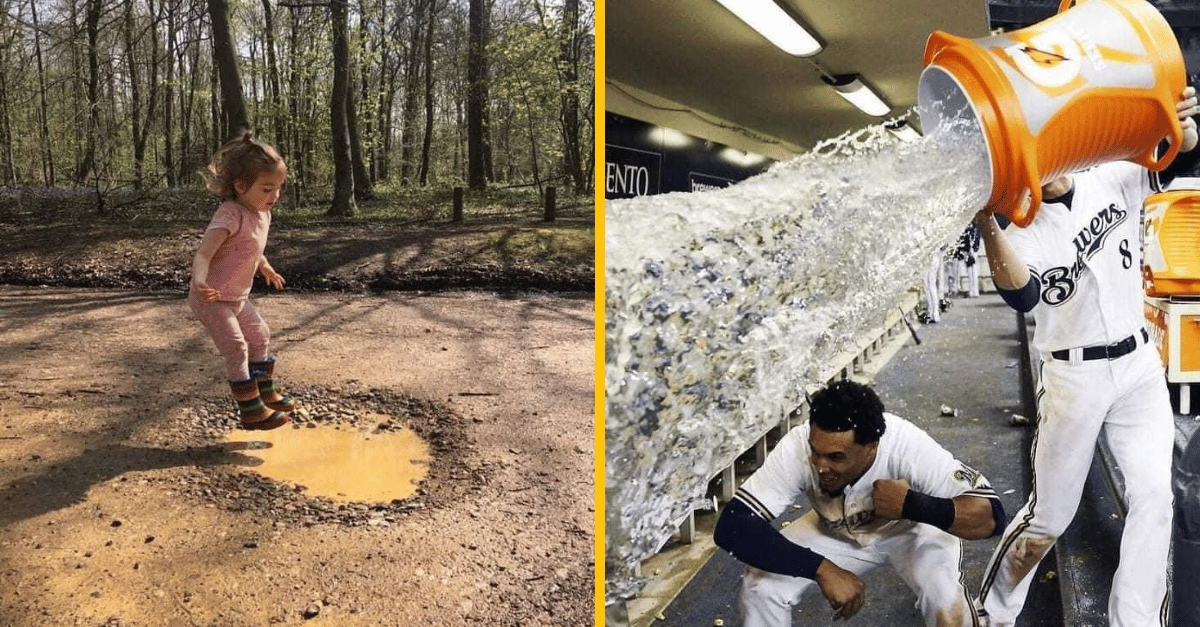 14 dokonale načasovaných záberov, ktoré si zaslúžia ocenenie