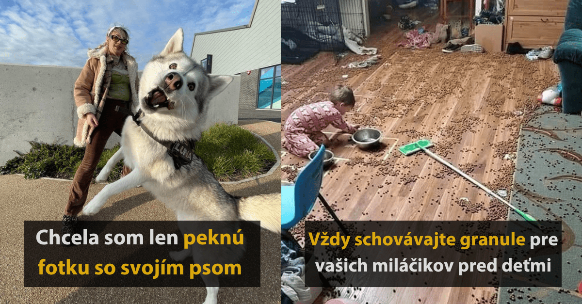 16 ľudí, ktorí zachytili vtipné momenty