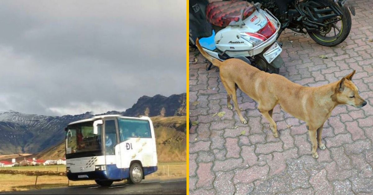 15 bizarných obrázkov z Google Maps, na ktoré ľudia narazili úplnou náhodou