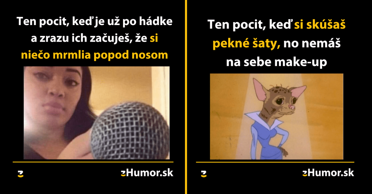 Zopár memečiek, ktoré vznikli, aby ti spríjemnili deň #1273 : Nie je hanba prehrať hádku.