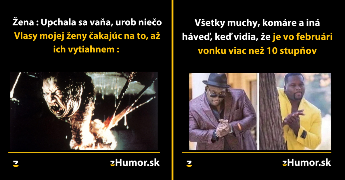 Zopár memečiek, ktoré vznikli, aby ti spríjemnili deň #1274 : Vlasy v odpade sú najhoršia vec.