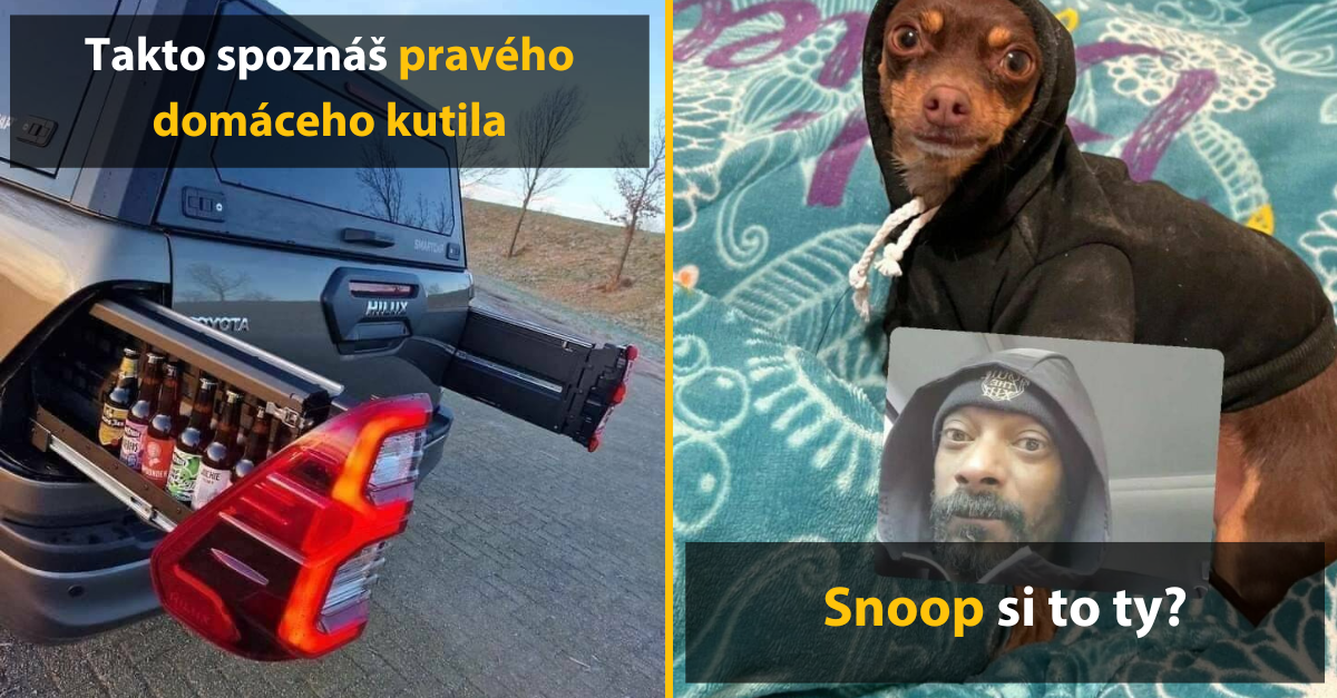 30+ Obrázkov, ktorými dokonale zabiješ čas #476