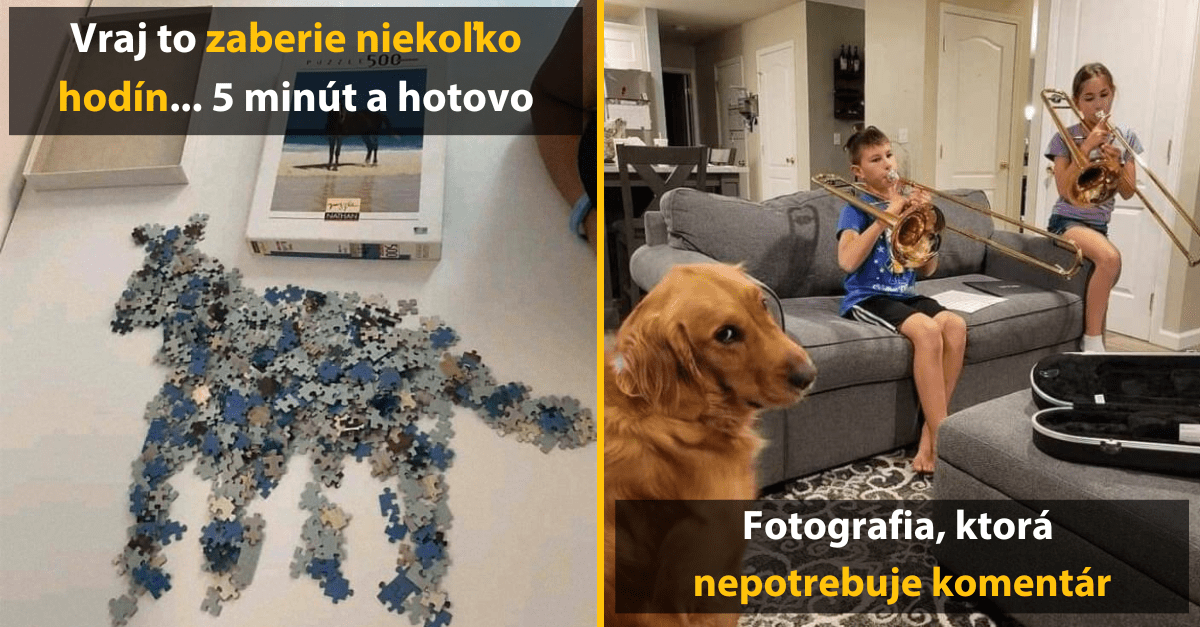 30+ Obrázkov, ktorými dokonale zabiješ čas #471