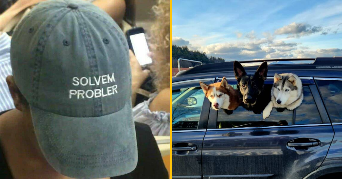 30+ Obrázkov, ktorými dokonale zabiješ čas #475