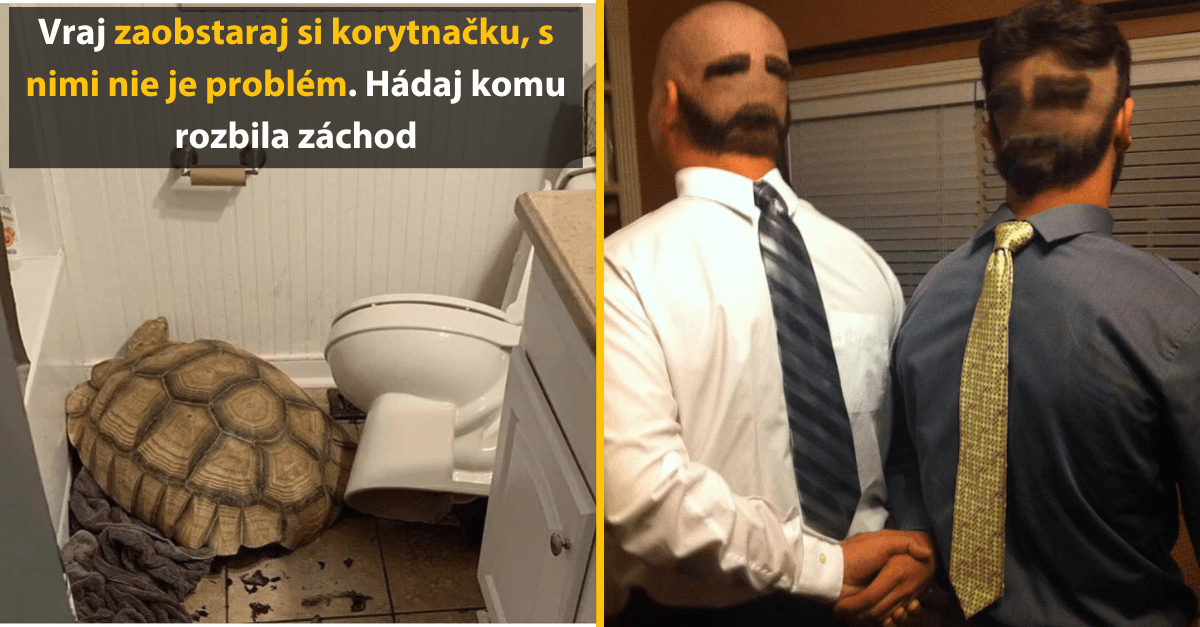 30+ Obrázkov, ktorými dokonale zabiješ čas #473