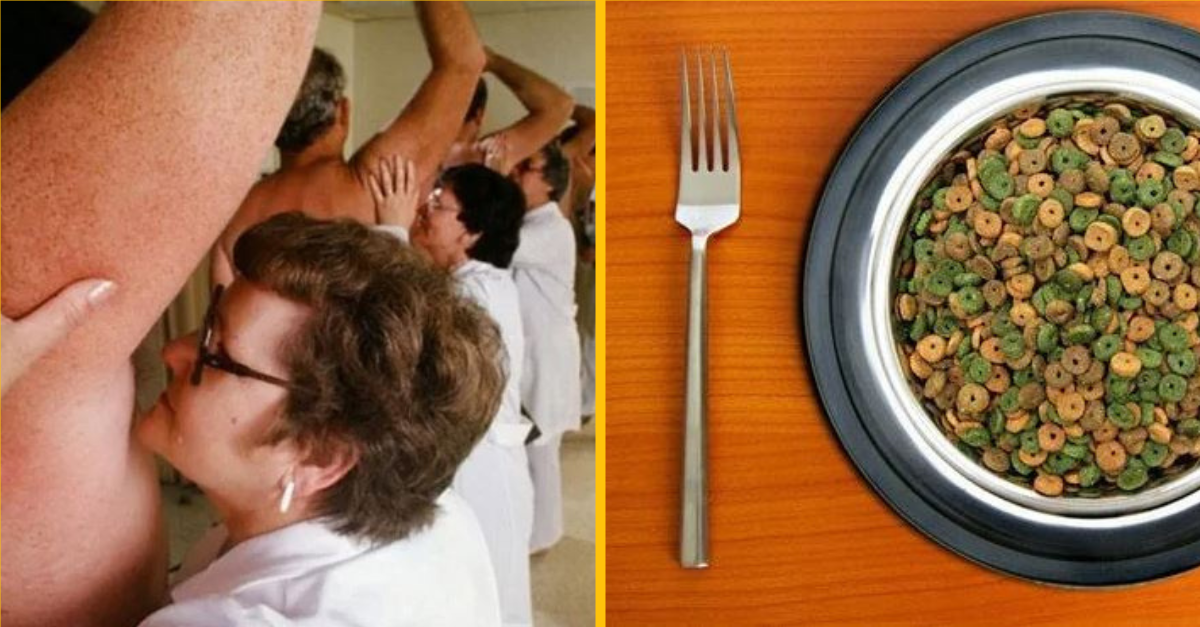 Divné profesie, o ktorých neuveríte, že existujú