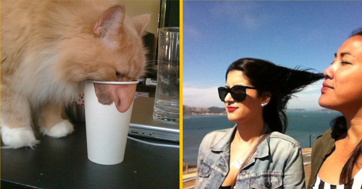 Fotky, ktoré boli priam dokonalo načasované