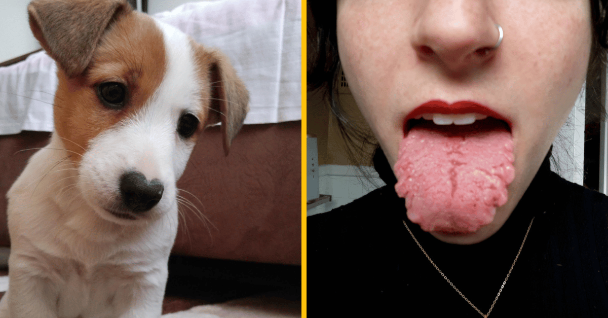 10 výtvorov matky prírody, ktoré sa len tak nevidia