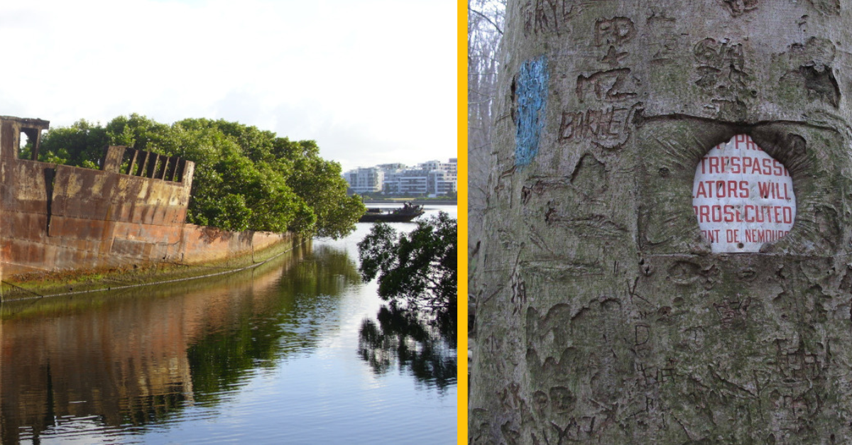 14 krát, kedy príroda ukázala svoju kreativitu