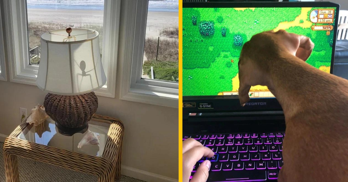 15 obrázkov, ktoré dokážu zmiasť aj tie najbystrejšie mysle