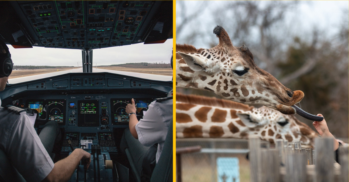 Ľudia sa podelili o dôvody, prečo ich vysnívaná práca nie je až tak skvelá