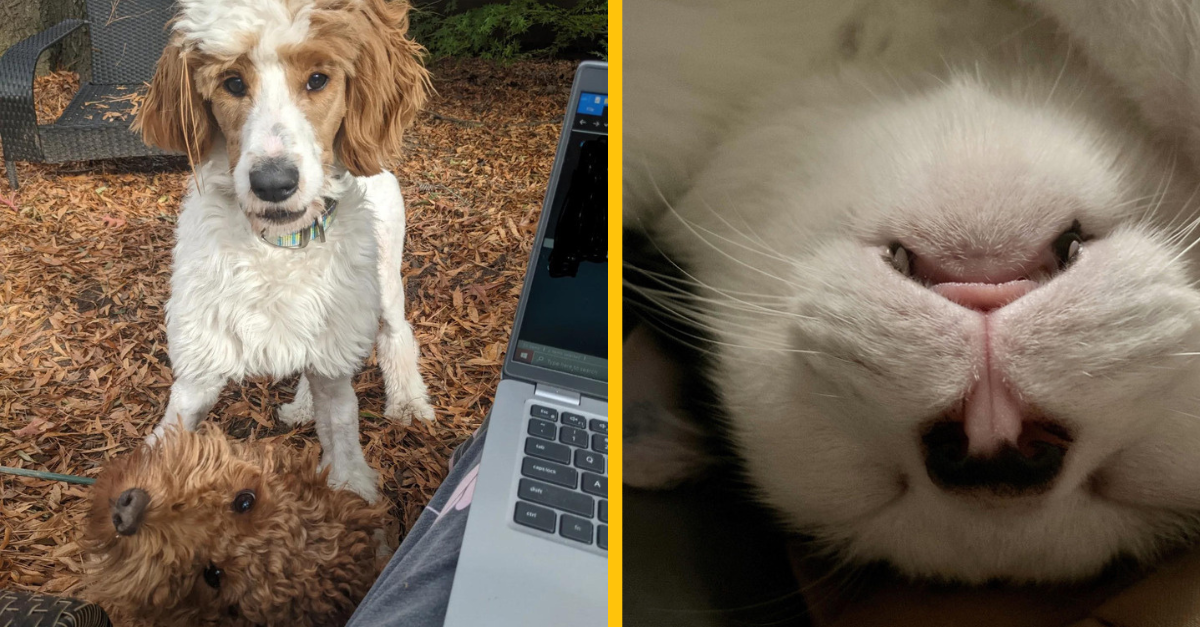 17 mätúcich fotiek, ktoré vás dokážu potrápiť (2. časť)