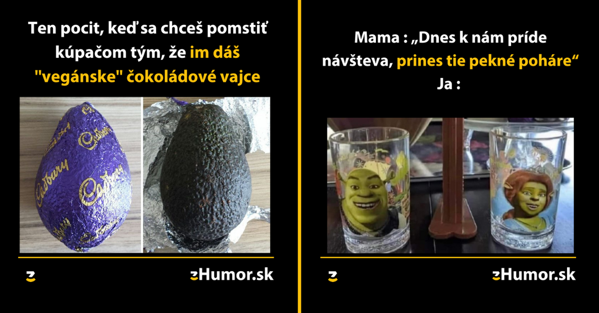 Zopár memečiek, ktoré vznikli, aby ti spríjemnili deň #1287 : Pri návštevách sa náš dom mení na luxusné sídlo.