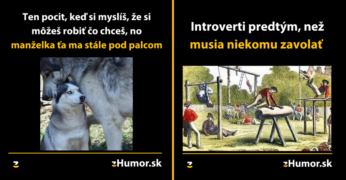Zopár memečiek, ktoré vznikli, aby ti spríjemnili deň #1285 : Pre introvertov je niekedy telefonát horší ako sociálny kontakt.
